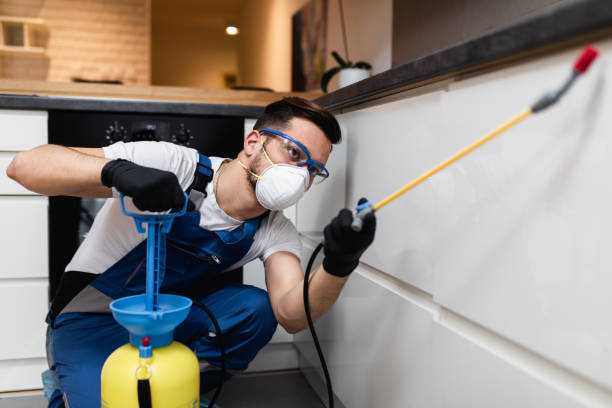 Best Cockroach Control Services  in Luckey, OH