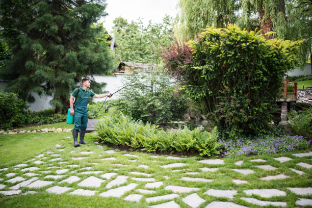 Best Pest Removal Services  in Luckey, OH